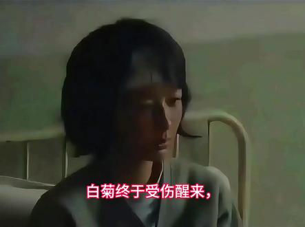 结局多杰被陷害去世后,白菊继承了多杰的使命,沿用多杰的政策,成功建立自然保护区#生命树白菊在无人区执法 #生命树 #大结局 #杨紫 #胡歌