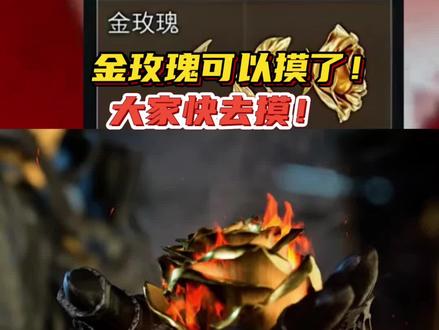 金玫瑰可以摸了,大家快去摸!#三角洲行动