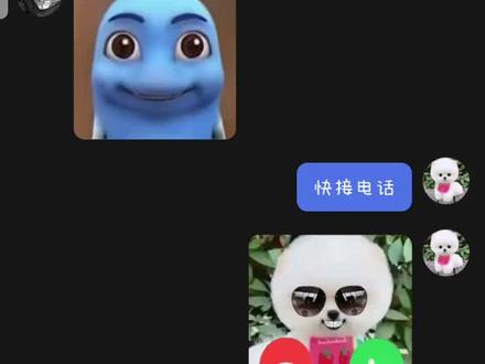 匹配到了一只喵 #杯子狗茶杯犬 #表情包互动 #可爱小狗表情包 #杯子狗整蛊