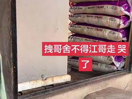 #拽哥@哎呦喂你江哥 拽哥和江哥有感情了 舍不得江哥走