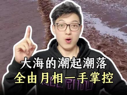 大海的潮起潮落,全由月相一手掌控#潮汐#涨潮 #月相 #地理 @抖音小助手
