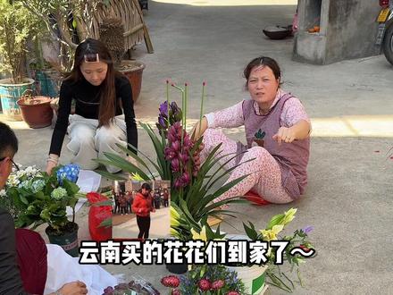 时隔3天在斗南市场买的花到家了! #河马阿嬷