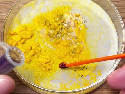 黏菌召回计划取得阶段性胜利 #玩个很新的东西 #黏菌