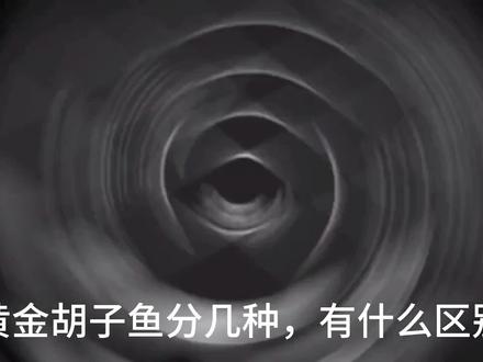 10元4条买的黄金胡子鱼,黄金胡子鱼分几种,有什么区别?#胡子鱼繁殖