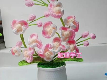 简易蝴蝶兰钩织教程#手工 #钩针教程
