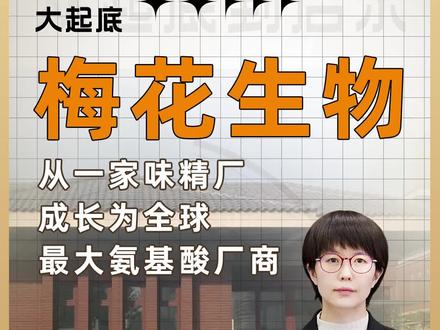 梅花生物:从一家味精厂成长为全球最大氨基酸厂商 #味精 #氨基酸 #河北 #商业模式 #化学 #投资回报率