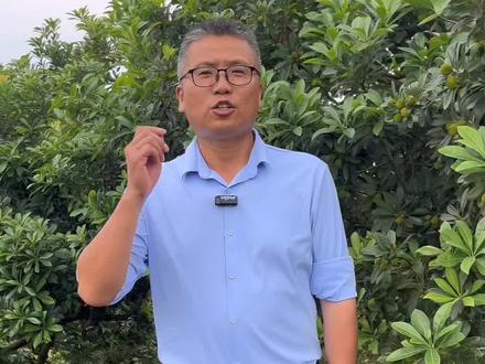 老铁们,今年的杨梅还敢吃吗?跟着我,放心吃安心吃!这么年我们销售的农产品口啤还是不错的,因为我们坚持底线思维:只卖本地、应季和生态农产品。对客户负责,也对自己负责!#本地杨梅 #吉安休闲农业