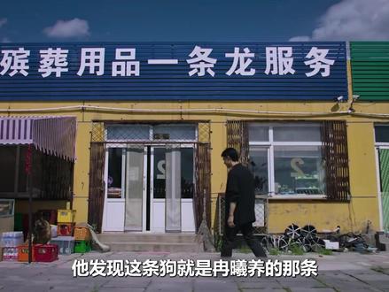 《树影迷宫》大结局,胡同杀手案水落石出,原来凶手就是田浩