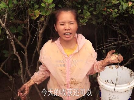 赶海在“蟹王”洞设了4大陷阱,老青蟹一个接着一个,抓都抓不完!