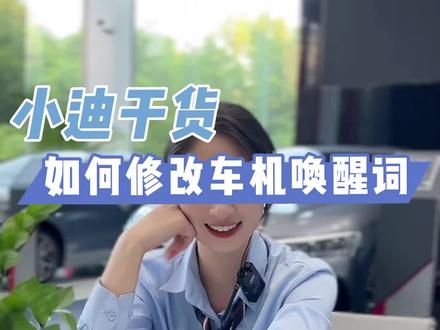 唉嘿嘿~大家的唤醒词都是什么呢?#用车小知识 #干货分享 #比亚迪