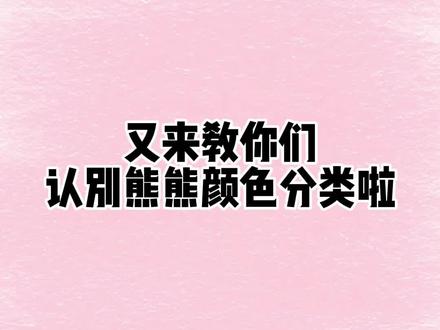 金丝熊有多少种颜色呢#养鼠日常分享 #金丝熊 #萌宠出道计划 #仓鼠