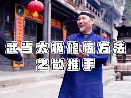 “一个手要防住他两个手”#武术 #太极拳#防身术 #推手 #田理阳
