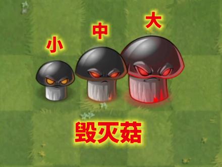 新植物:毁灭菇介绍 #植物大战僵尸2 #老猫玩游戏