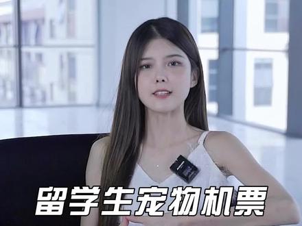 留学生宠物机票价格上天#留学 #宠物