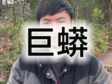 最近南方上山挖山药的 经常看见蟒蛇成群结队出没,只要不去抓 都不会主动伤人 放心@青峰侠-小阿朱