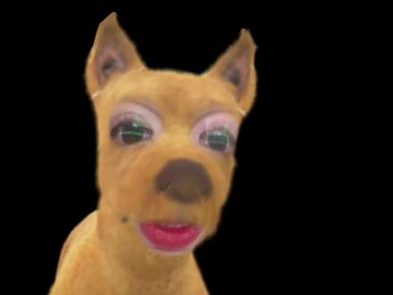 不敢相信,这是48岁的人能做出来的事情#恋爱 #恋综 #日落时分说爱你