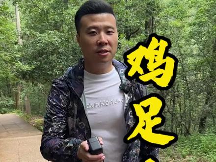 鸡足山 素行鸡足山团建#张容源 #素行 #团队