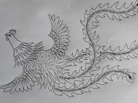 学画凤凰,轻松入门,一学就会