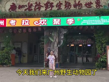 五一假期第二天,去了广州长隆野生动物园,超级多人,到处排队,其实节假日我真不想出门,奈何孩子想出去玩#广州长隆野生动物园 #vlog日常