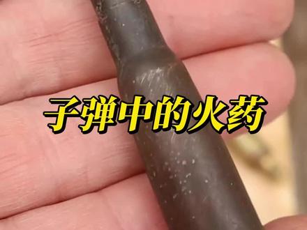 子弹内的火药真的很神奇 #军事科普 #武器科普