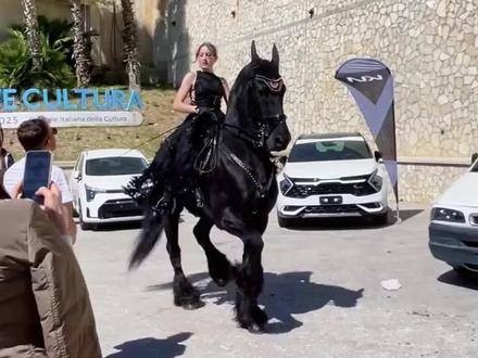 这是什么马?居然值这个数?#马 #汗血宝马 #科普 #涨知识