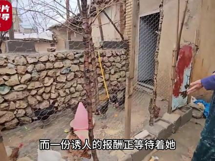 他拿到一份重要的DNA报告 #麦迪娜 #赛义德 #伊朗游牧民生活