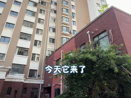 你们天天催我要的小高层带电梯带阁楼的他来了#阳光充足,高楼层视野好 #大落地窗阳台 #顶楼带阁楼 #阁楼 #地铁房