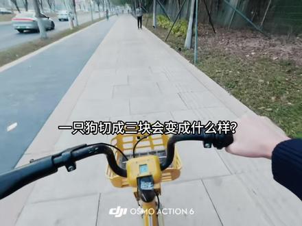 主播正在连夜赶回来的路上... (霸天们不要学主播单手骑车哦)今天请假!#狗云 #拆卡 #骑行 #回家路上