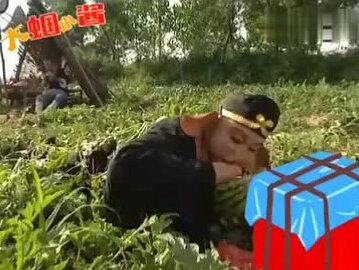 西游记玩吃鸡,八戒舔包被打