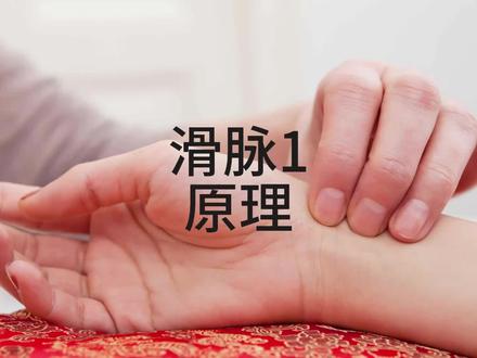 #真实生活分享计划 彻底了解滑脉,知其所以,指下不迷,快看看你是不是有痰湿。所以血管里怎么会有小珠子滚动呢?#每天跟我涨知识