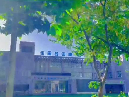 大武口幼教集团小朋友给高考考生送祝福啦! 高考加油!#宁夏石嘴山 #高考 #幼儿园 #高考加油 #高考倒计时为高考加油