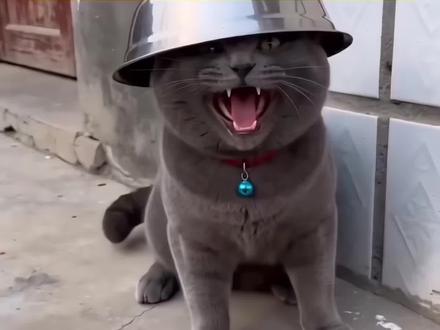 猫咪放鞭炮炸铁盆ai特效生成入口教程,
炸狗盆搞笑视频 ,ai炮仗惊飞落顶盆特效 ,ai宠物生成视频,ai视频猫咪叫声引猫神器,猫咪搞笑瞬间,小猫玩炮,猫炸盆反应,拜年视频 ,ai图片生成指令烟花,AI扛炮弹搞笑视频,小猫放鞭炮拍同款,ai炮仗惊飞落顶盆 ,过年炸狗盆 ,放炮视频一键生成,ai猫咪放炮 ,ai猫咪放炮仗惊飞落顶盆 ,炮仗惊飞落顶盆拍同款 ,猫咪ai放炮 ,喵斯拉ai动物笑声 ,随变放炮炸出一个小可爱特效 ,放炮搞笑瞬间 ,ai放鞭炮特效一键生成,ai炮仗惊飞落顶盆特效入口在哪 ,AI炮仗惊飞落顶盆特效入口, ai点炮仗特效, ai放鞭炮炸铁盆,小狗放鞭炮ai ,随变放鞭特效生成众口 。#剪映#ai炮仗惊飞落顶盆 #随便放炮炸出一个小可爱 #ai一键生成入口 #猫咪