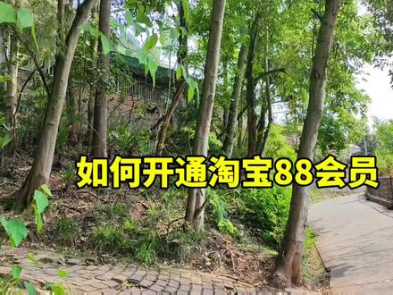 如何开通淘宝88会员#淘宝购物#淘宝88会员