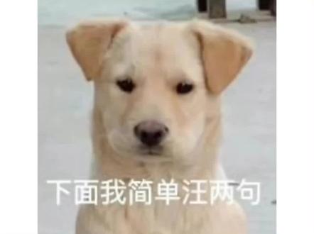悲伤的嗷嗷哭#发疯日常