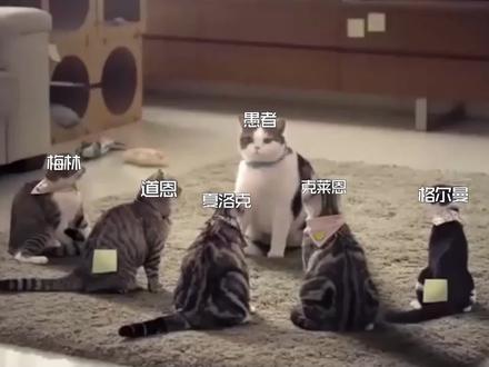 猫猫虫的反击!#诡秘之主 #克莱恩 #阿蒙