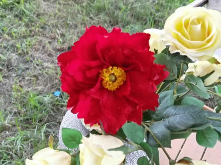 什么?这居然是纸巾做的花 纸巾花#纸艺花 #卫生纸做花