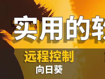 远程办公和远程玩游戏是怎么做到的?#向日葵远程控制 #电脑 #电脑知识