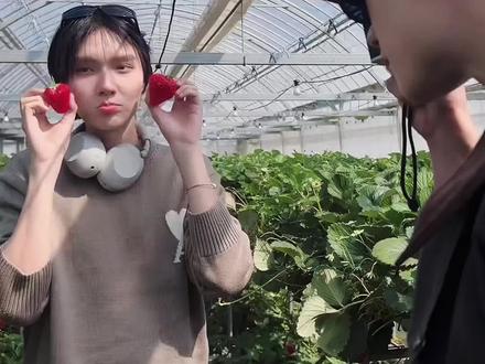 🦆🐰进口草莓就是甜~#kengnamping #cp #他泰 #安利