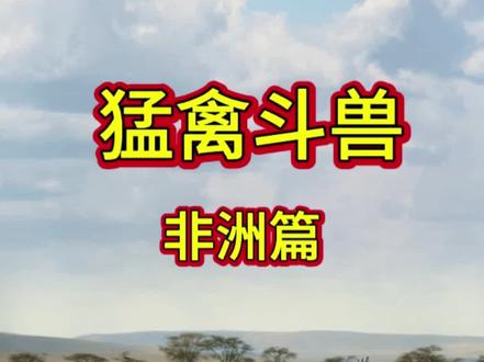 第3集|一条蛇引发的血案,高清记录猫鸟大战。#动物 #纪录片 #非洲