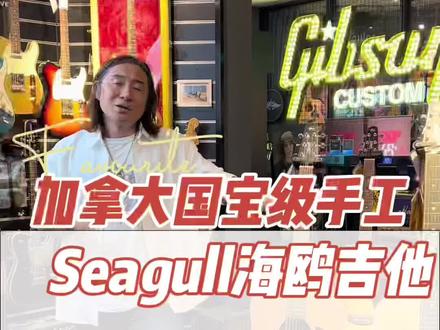 加拿大手工吉他Seagull 海鸥吉他正式登陆菠萝,最佳折扣直播间走起#老郭的菠萝琴行 #老郭严选 #手工吉他