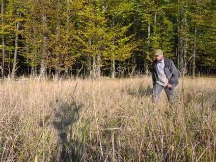 大山里面猛兽出没,小伙挖空心思,巧妙设计最隐蔽安全的空中鸟笼 #野人 #荒野 #荒野独居选手盘点 #冰屋生存 #德爷寻找水源方法