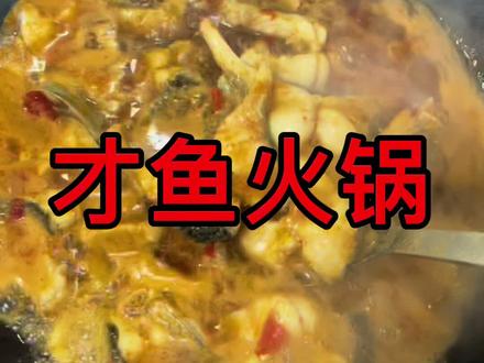 湖北的天气突然降温了,天冷吃火锅,今天分享才鱼火锅的家常制作方法,一看就会。@天门谋哥(日常)