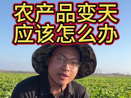 记者为何暗访农资公司?限制农药为何要流向红薯种植户,愿行业内违规作业的能认清认知自醒#农户为省钱竟使用违禁高毒农药