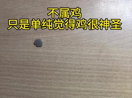 说了多少次了主包不属鸡!!!#拼豆 #十二生肖 #我爱拼豆 #我染上了拼豆 #一只鸡的百种做法