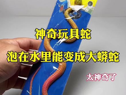 神奇玩具蛇,泡在水里能变成大蟒蛇#测评#神奇玩具蛇
