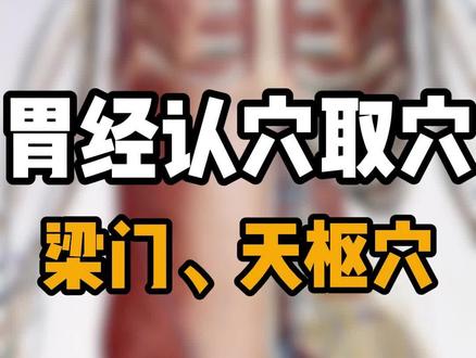 足阳明胃经认穴取穴,梁丘和天枢#足阳明胃经 #梁丘 #天枢