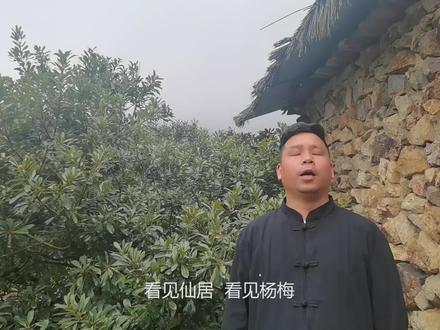“杨梅司令”沈青山剪枝教程:春季杨梅补充修剪提高坐果率