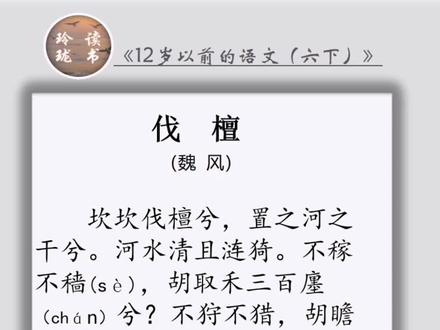 #《12岁以前的语文(六下)》《伐檀》#热门 #传统文化 #诗词