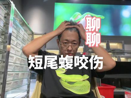 短尾蝮,中国咬伤人最多的蛇,很多地方叫土不呆、土地婆、土灰色等等,你们当地怎么叫它呢?评论区置顶有这种蛇的图片哦。#短尾蝮 #毒蛇咬伤 #普及知识