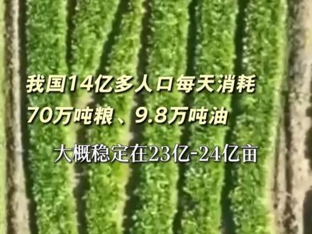 我国14亿多人口每天消耗70万吨粮、9.8万吨油#粮食